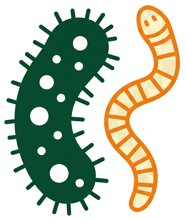 Image of Bacteria & Parasites representing the dangers of leaving dog poop in your yard ScoopDawg Squad Pet Waste Removal